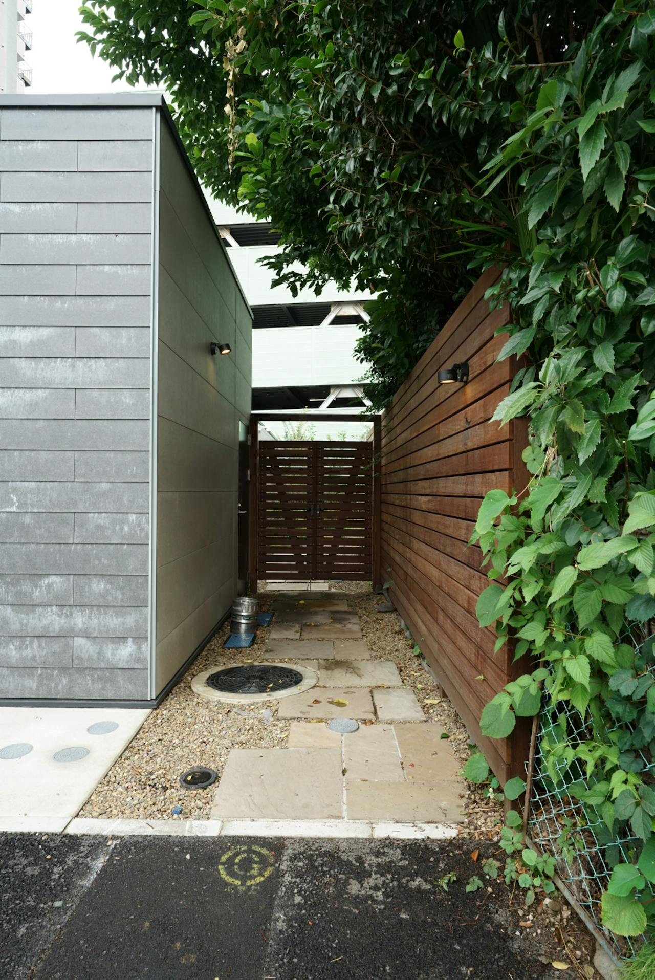 アマゾンチェリー