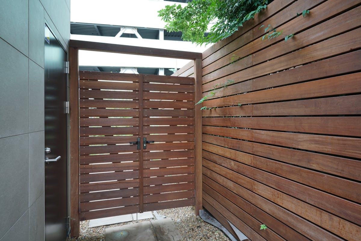 アマゾンチェリー