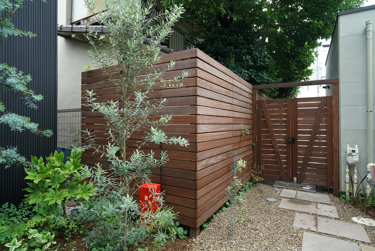 アマゾンチェリー