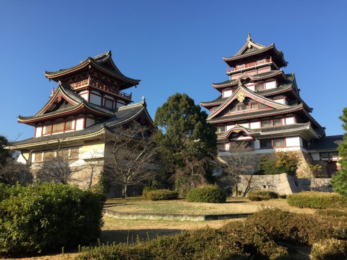 伏見城_建築資材_スギ