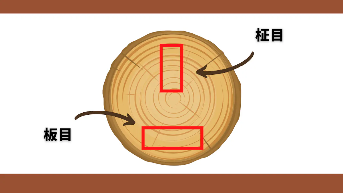 木材の柾目・板目って知ってる?|無垢材 おすすめ 知識