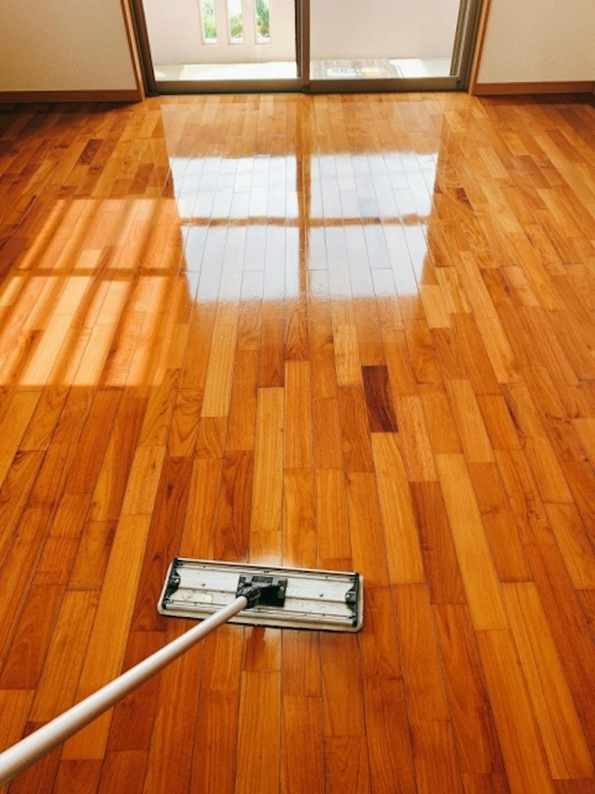 無垢フローリングのカビを防ぐ お手入れ知識で解決 無垢フローリングのカビを防ぐ お手入れ知識で解決