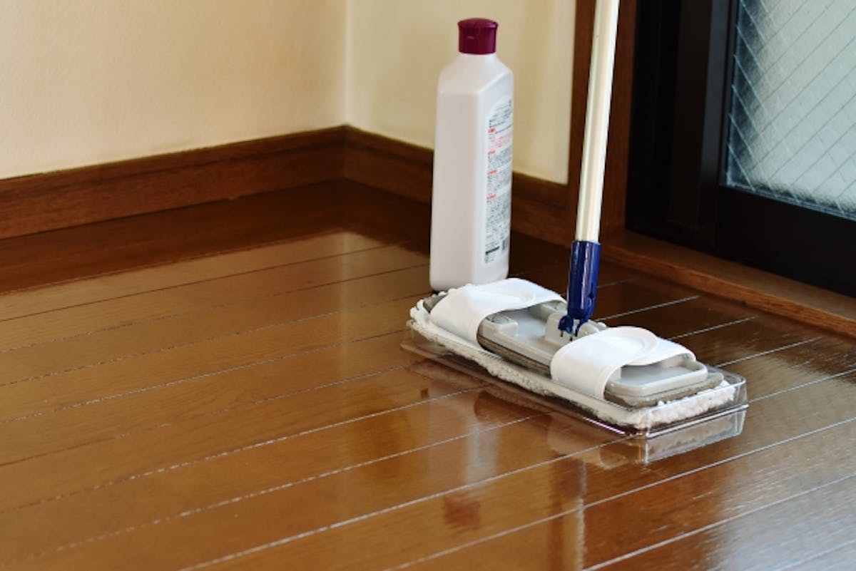無垢フローリングのカビを防ぐ お手入れ知識で解決 無垢フローリングのカビを防ぐ お手入れ知識で解決