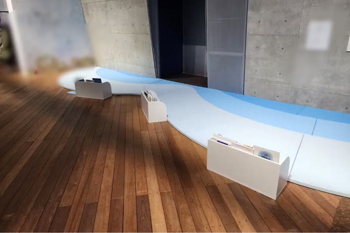 アマゾンチェリー