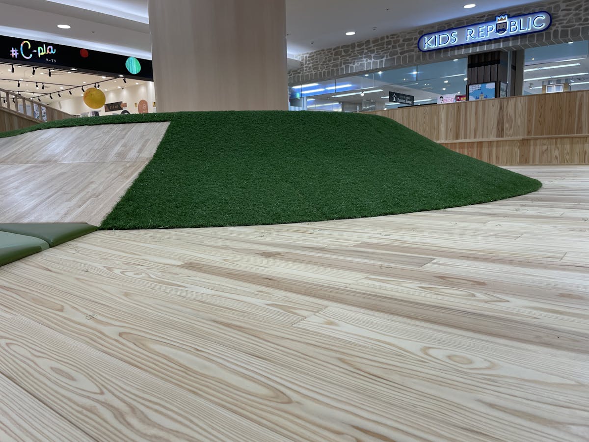 国産杉