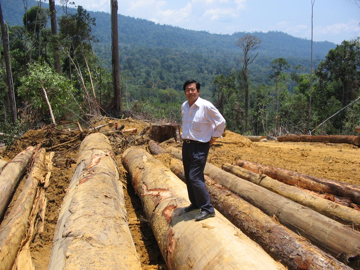 社長現地にて選定